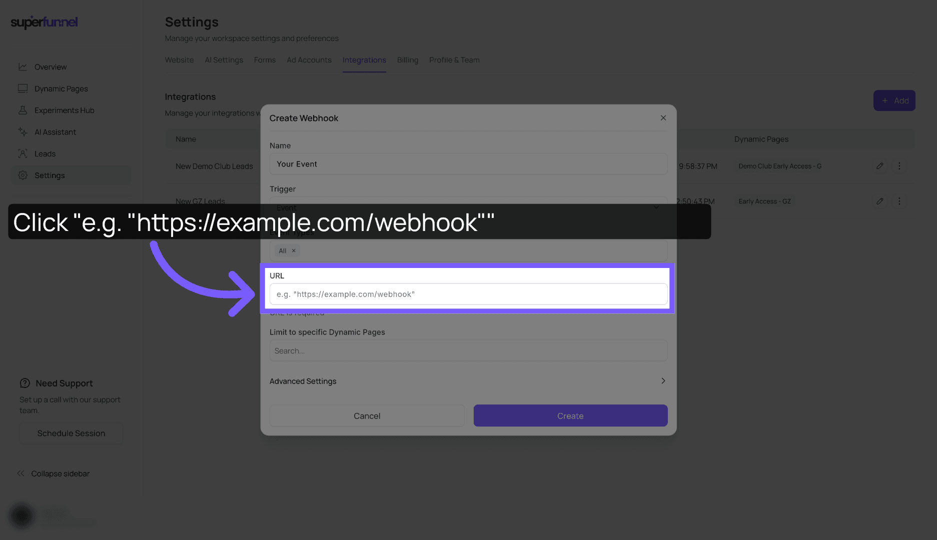 Access URL Input Field